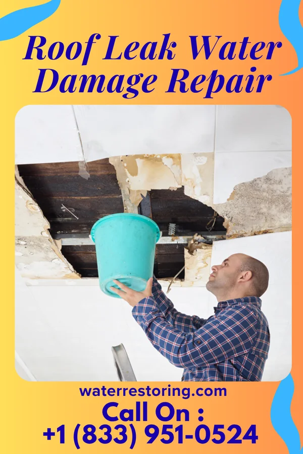 Roof Leak Water Damage Repair in Bridgeport, NE